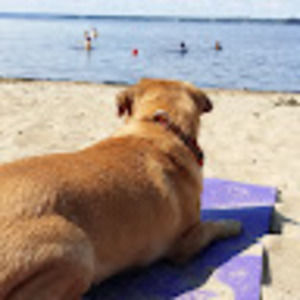 Meet your Posher, Adele